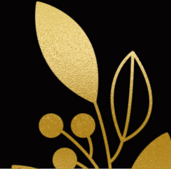 Decorative Footer Image